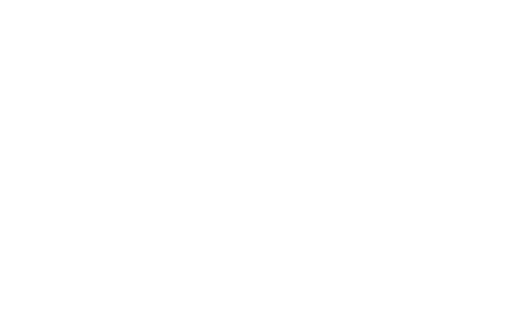vectoflow tesla