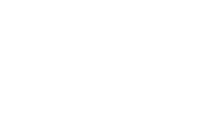 vectoflow waymo Kopie