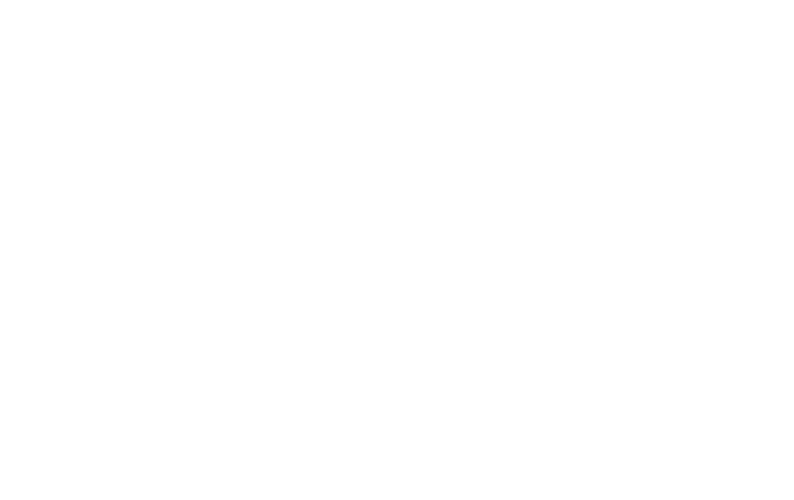 vectoflow waymo